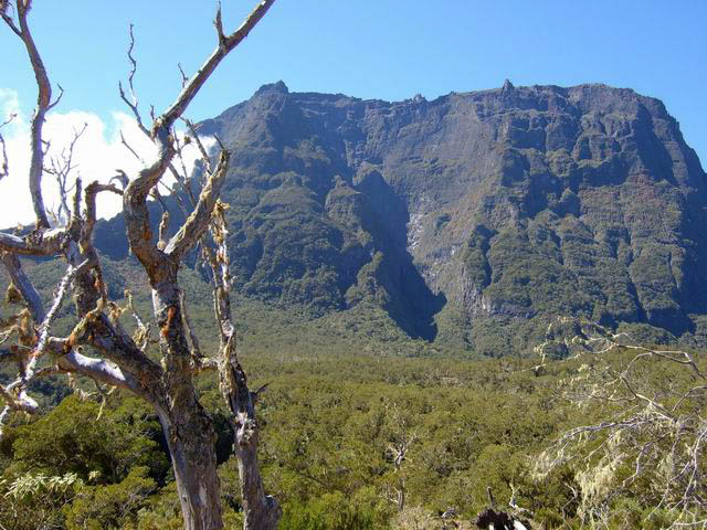 Le Gros Morne vu de la Plaine des Tamarins