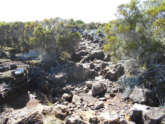 Les cailloux encombre le sentier tout le long du rempart