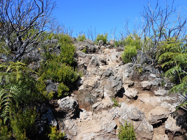 Sentier encore caillouteux durant la montée au Grand Bénare
