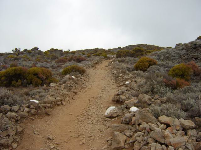 Le sentier de la Glacière