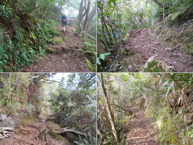 Un peu tous les types de sol sur le sentier Bœuf dans les bois de couleurs
