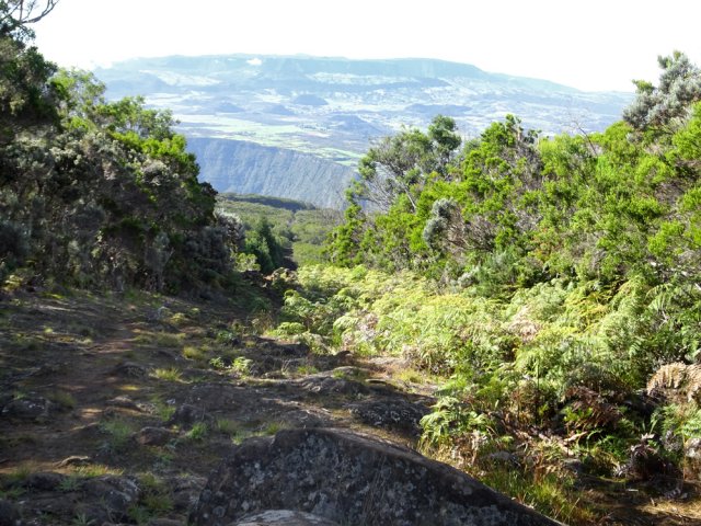 Traversée de la ligne domaniale avec vues sur la Plaine des Cafres