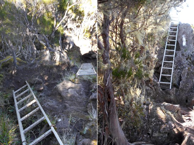 Il faudra encore passer des obstacles grâce à de nouvelles échelles