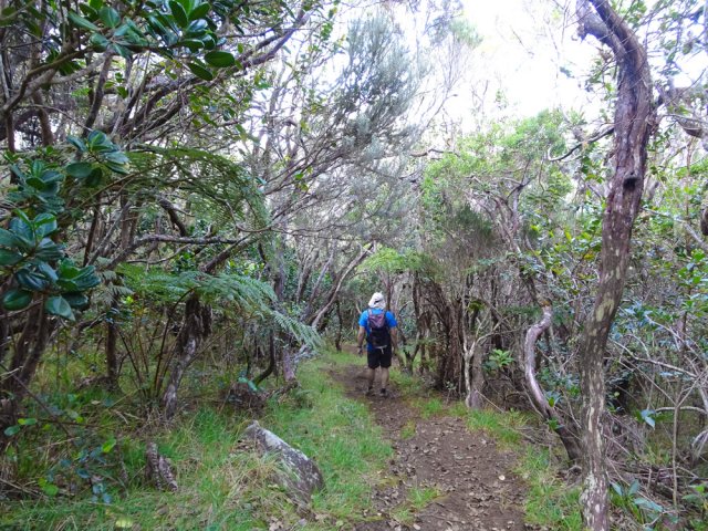 Le sentier pris à gauche dans la descente traverse branles et bois de couleurs