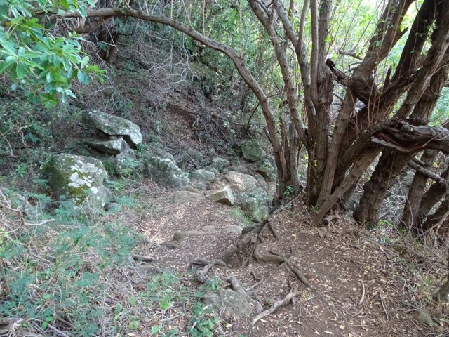 Le sentier descend fortement en lacets vers la plage