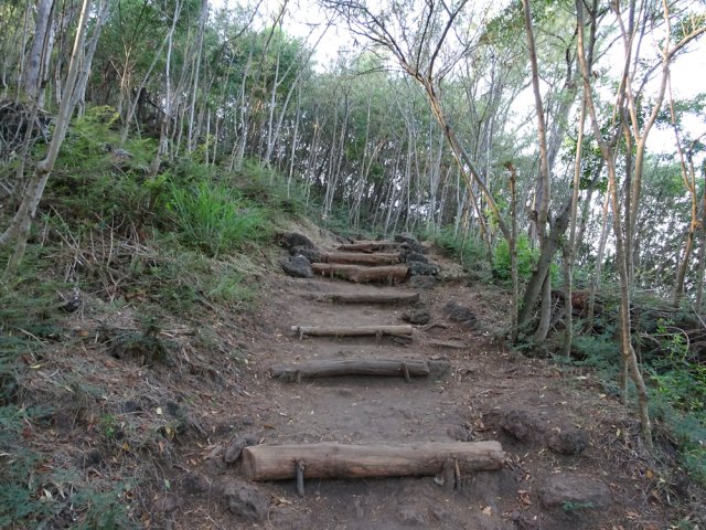Le sentier fait de rondins qui retiennent la terre
