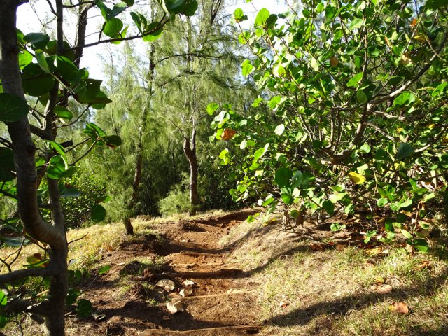 Agréable sentier qui redescend vers le Cap Auguste