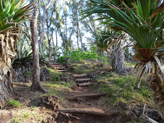 Toujours le même type de sentier pour remonter
