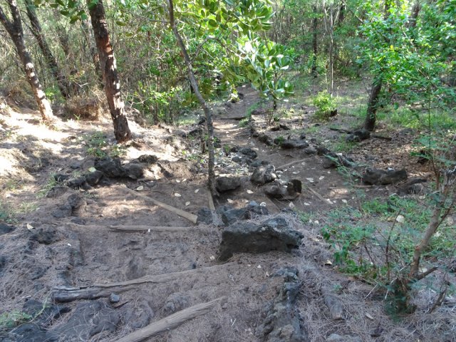 Début de la descente vers le point de vue sur l'île