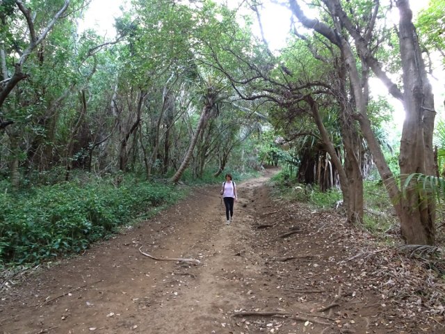 La piste ombragée redescendant vers Grande Anse