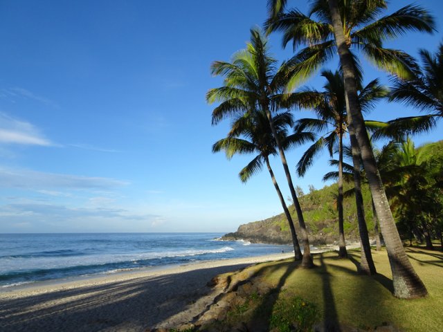 Se rapprocher de la jolie plage entourée de cocotiers
