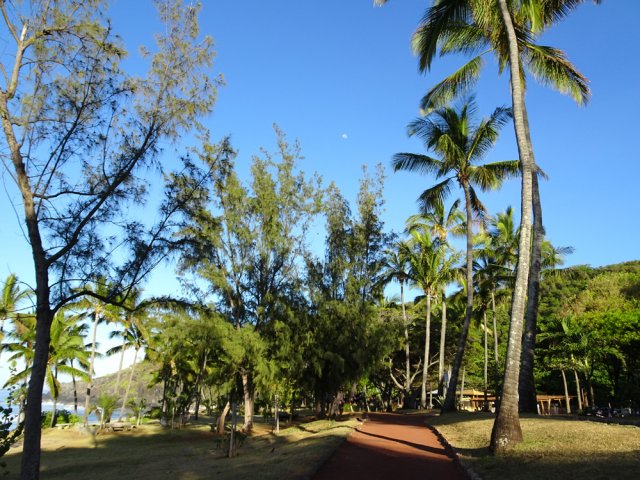 Une idée de la piste rouge qui longe le littoral