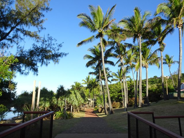 Le petit pont enjambant la Ravine des Français