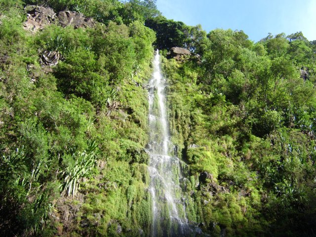 Agréable pour la douche, le pisse en l'air ne coule pas toujours