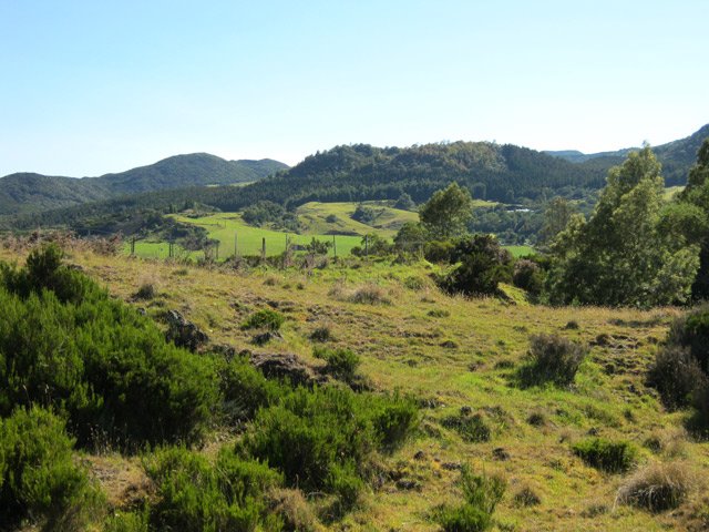 Les friches et prairies de l'autre côté du Piton Dugain