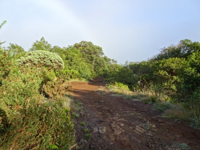 La piste ne comporte pas de difficulté hormis un peu de boue