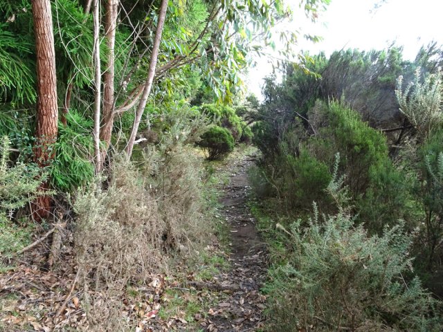 Le sentier remontant vers le Chemin des Militaires