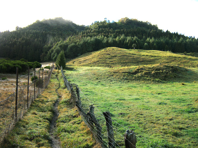Le superbe sentier à l'arrivée au Piton Guichard