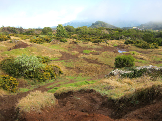 La piste d'entraînement des 4X4