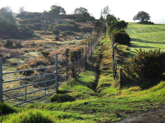 Le début du sentier à la barrière métallique