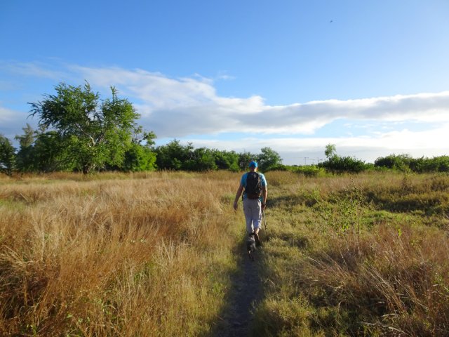 Balade champêtre dans les herbes
