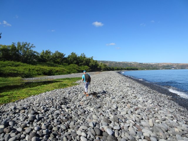 L'estuaire, ici bouché par des amoncellements de galets
