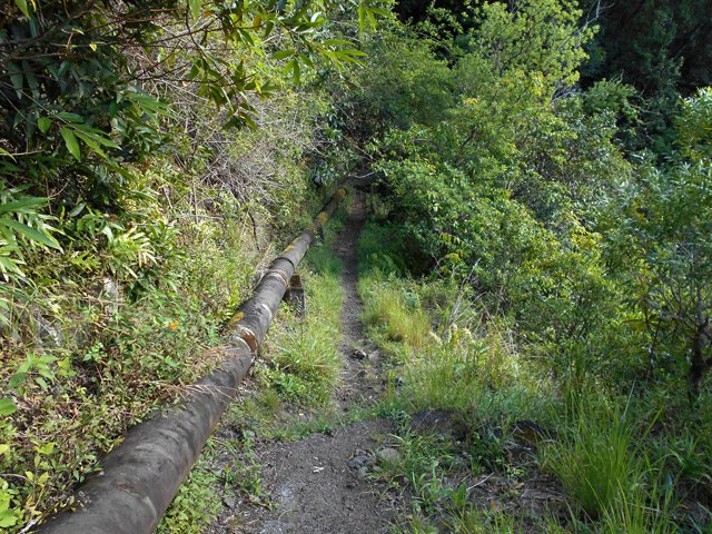 Le sentier étroit longe le tuyau au plus près
