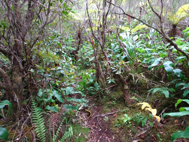 En règle générale le sentier est toujours facile à suivre