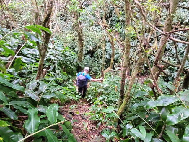 Fortes descentes pour rejoindre les ravines