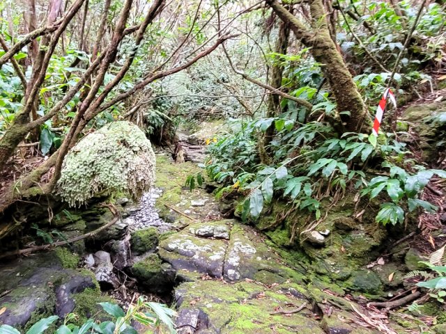 Belles ravines méritant quelques explorations