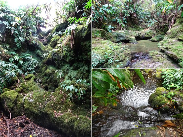 Quelques exemples de ce que l'on peut découvrir en suivant les ravines