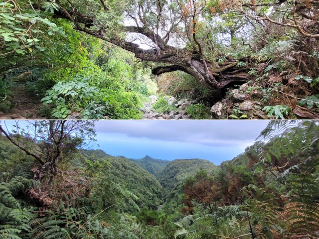 Traversée du Bras de Jeanne et sa vallée