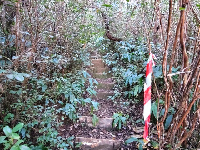 Beaux vestiges des escaliers construits il y a quelques années