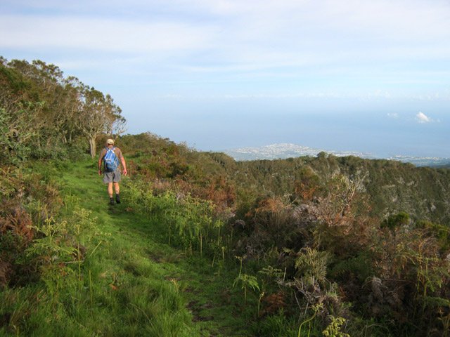 Le cheminement est facile dans les herbes. Au loin, le Port