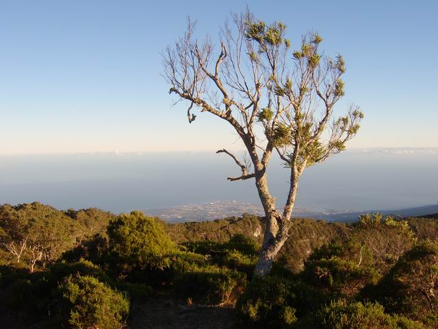 On peut à tout moment regarder soit à droite, soit à gauche. Ici, le Port