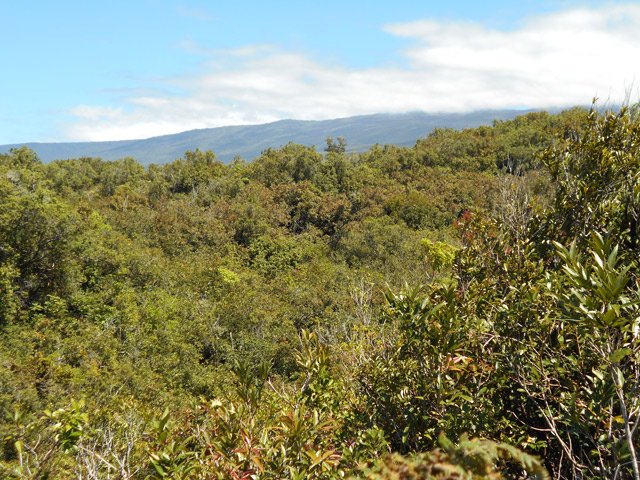 Point de vue sur les pitons alentours