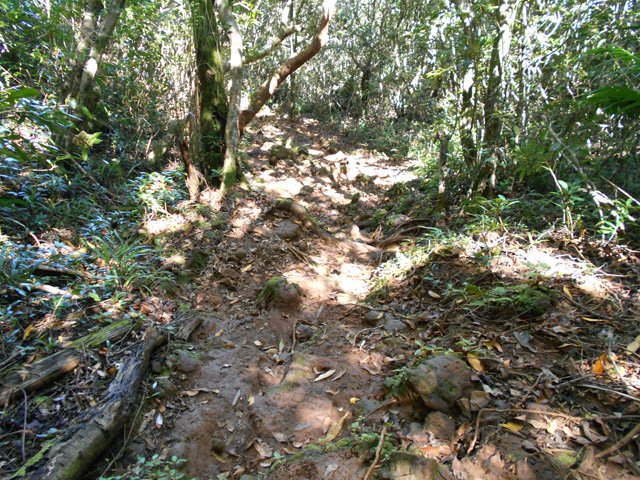 Petite portion boueuse au milieu des gros cailloux