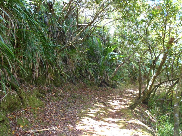 La fin de la montée avant le croisement