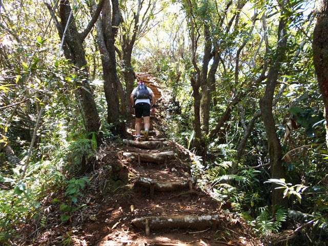 Une autre idée des marches en rondins