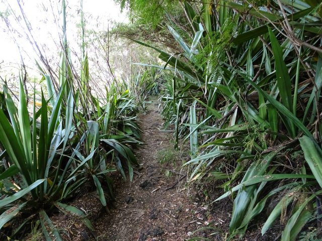 Une autre bordée de chocas