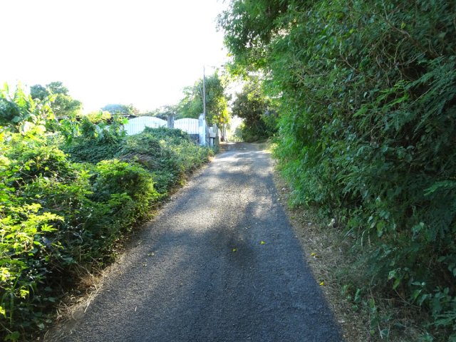 Petite balade le long du Chemin Rangama