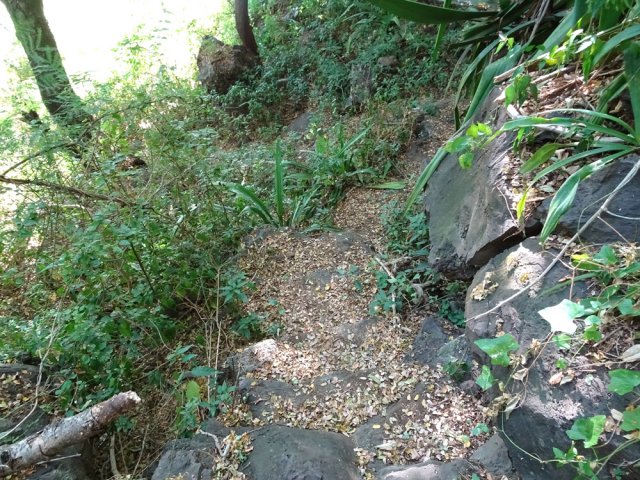 Les marches du sentier rejoignant la rivière