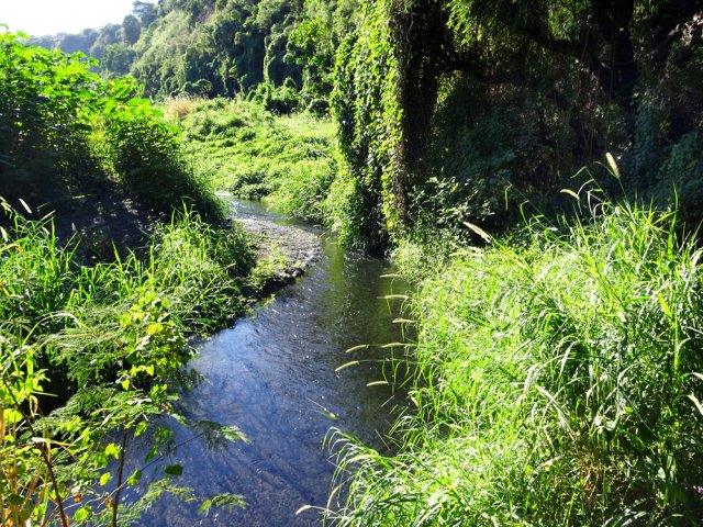 Le petit bras alimenté par la cascade de l'usine hydroélectrique