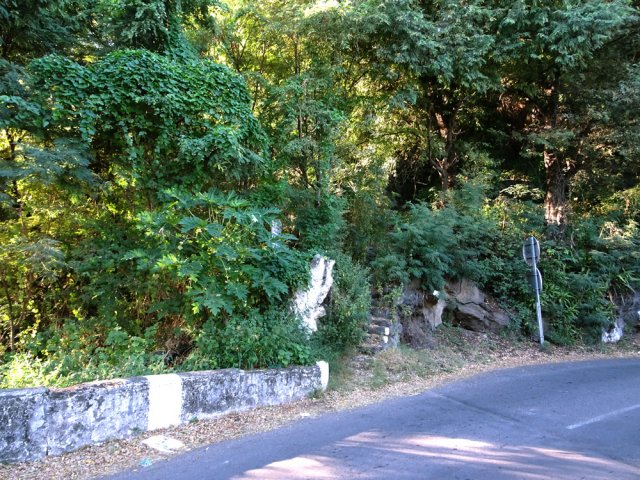 Le début du sentier dans le virage