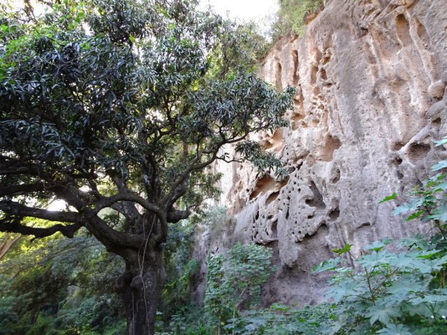 Balade le long du Canal Saint-Etienne en aval de la route