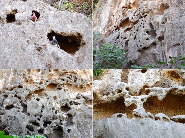 La falaise offre quelques belles dentelles de pouzzolane