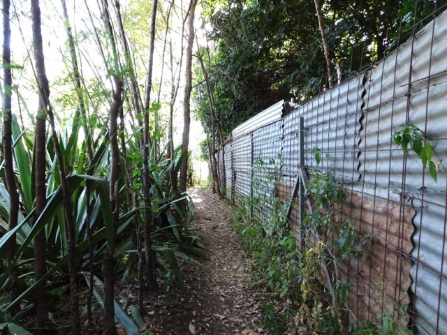 Le sentier longe une clôture de tôles ondulées