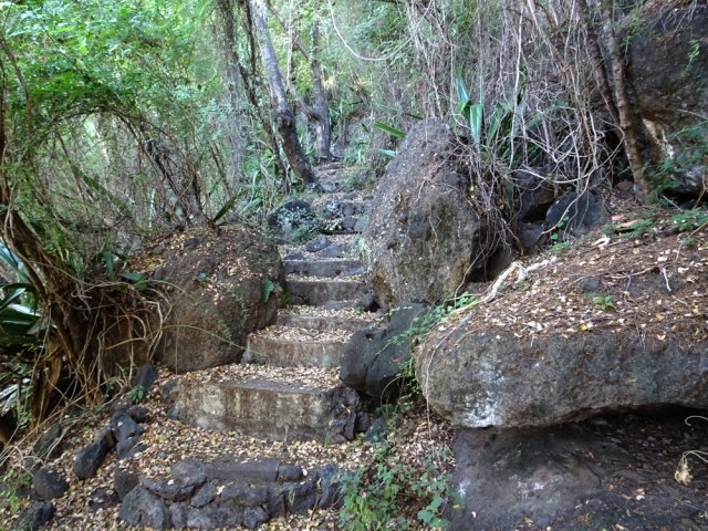 Nouveaux escaliers bien conservés
