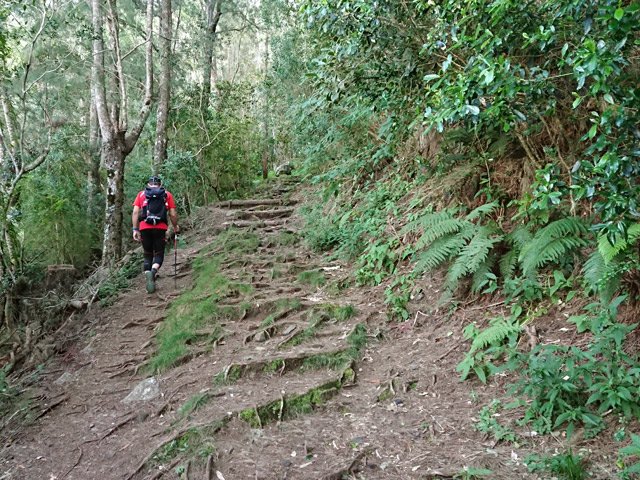 Passage sur racines