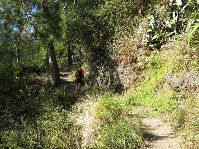 Le sentier de descente vers Roche Plate est très facile